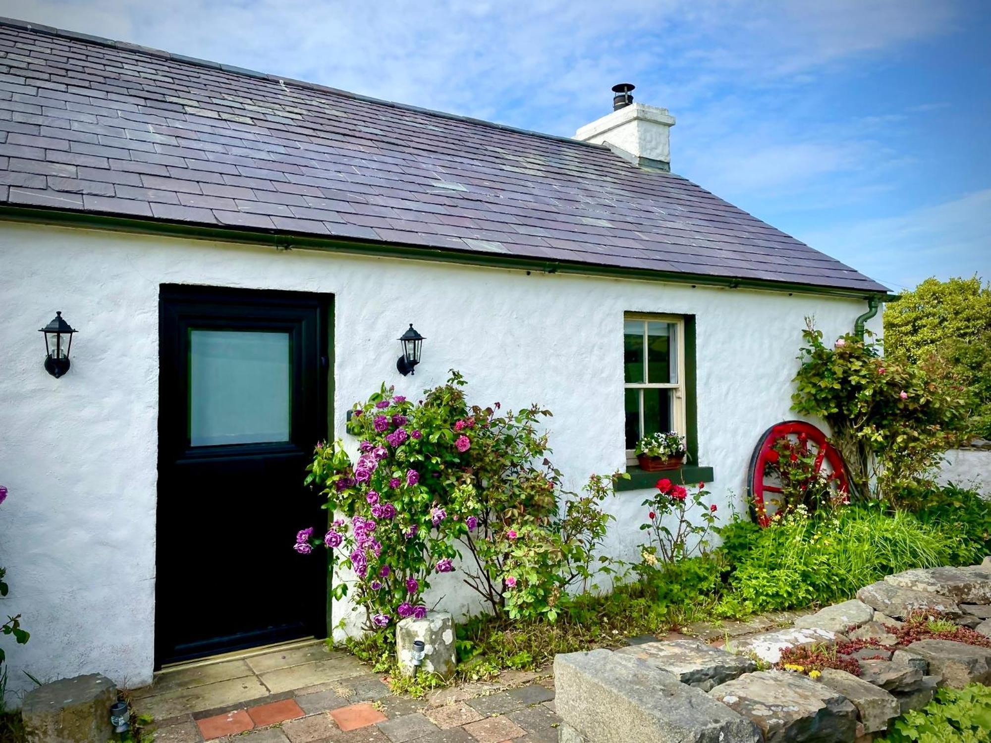 Dunnaglea Cottage, בלינטוי מראה חיצוני תמונה